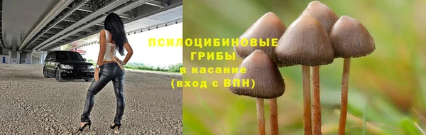 молекула духа Балабаново