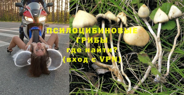 экстази Белокуриха