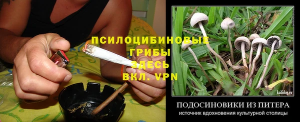 spice Баксан